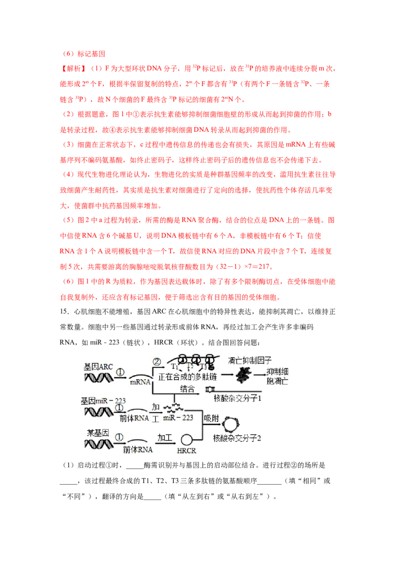 专题18基因的表达(教师版)_新高考复习资料_2023年新高考复习资料_二轮复习_增分要点2023高考生物二轮复习专题解读和分层训练291073137