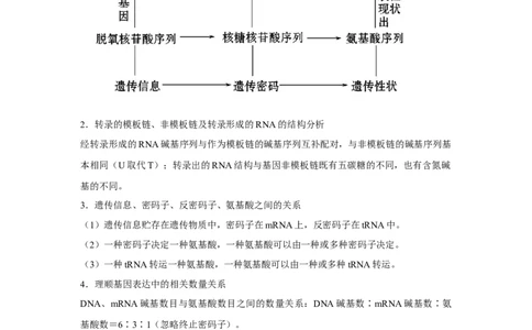 专题18基因的表达(教师版)_新高考复习资料_2023年新高考复习资料_二轮复习_增分要点2023高考生物二轮复习专题解读和分层训练291073137