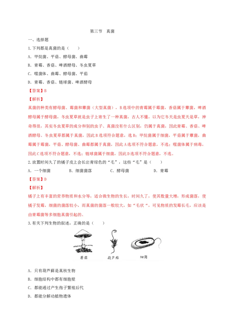 5.4.3真菌（备作业）-（人教版）（解析版）_初中全科电子版试卷练习试题_生物_生物8上练习_人教生物8年级上课时练习37份_第2套八年级生物上册课时练习（人教版）21份