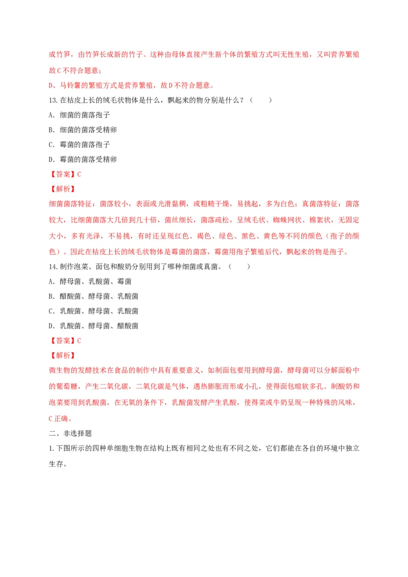 5.4.3真菌（备作业）-（人教版）（解析版）_初中全科电子版试卷练习试题_生物_生物8上练习_人教生物8年级上课时练习37份_第2套八年级生物上册课时练习（人教版）21份