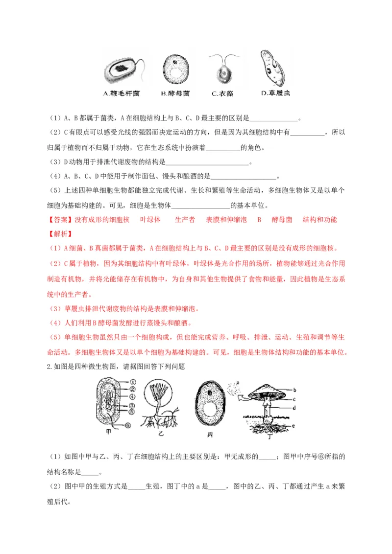 5.4.3真菌（备作业）-（人教版）（解析版）_初中全科电子版试卷练习试题_生物_生物8上练习_人教生物8年级上课时练习37份_第2套八年级生物上册课时练习（人教版）21份