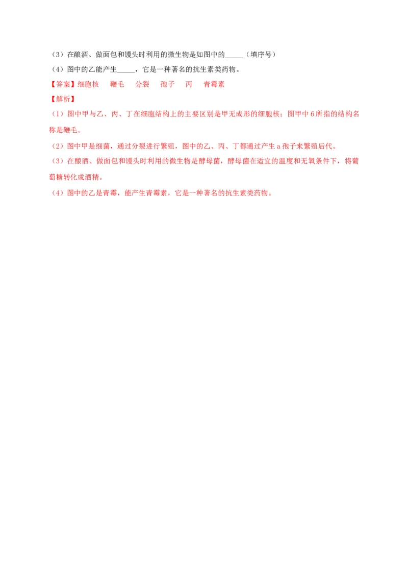 5.4.3真菌（备作业）-（人教版）（解析版）_初中全科电子版试卷练习试题_生物_生物8上练习_人教生物8年级上课时练习37份_第2套八年级生物上册课时练习（人教版）21份