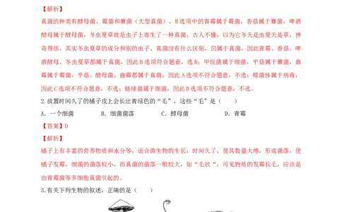 5.4.3真菌（备作业）-（人教版）（解析版）_初中全科电子版试卷练习试题_生物_生物8上练习_人教生物8年级上课时练习37份_第2套八年级生物上册课时练习（人教版）21份