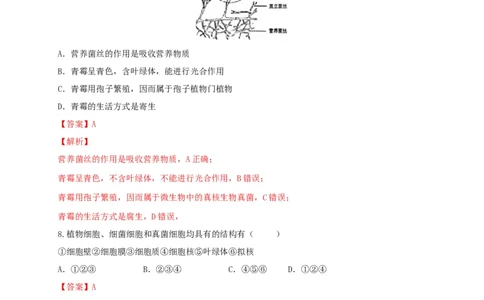5.4.3真菌（备作业）-（人教版）（解析版）_初中全科电子版试卷练习试题_生物_生物8上练习_人教生物8年级上课时练习37份_第2套八年级生物上册课时练习（人教版）21份