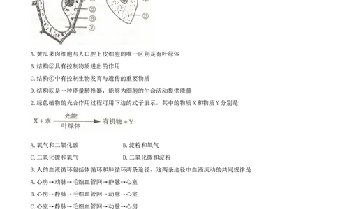 山西省太原市2017年中考生物真题试题（含答案）(1)_山东历年中考真题_山东省历年中考真题2013~2024_初中生物历年真题（2013-2024）