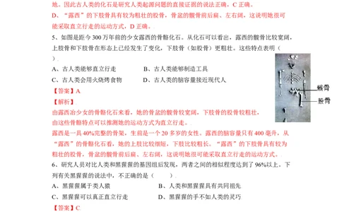 4.1.1人类的起源和发展（解析版）_初中全科电子版试卷练习试题_生物_生物人教版7下练习_人教生物7年级下课时练习40份_第2套七年级生物下册课时练习（人教版）20份