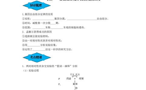 专题15基因的自由组合定律（串讲）（原卷版）_新高考复习资料_2024年新高考复习资料_一轮复习资料_完备战2024年高考生物一轮复习串讲精练（新高考专用）_串讲