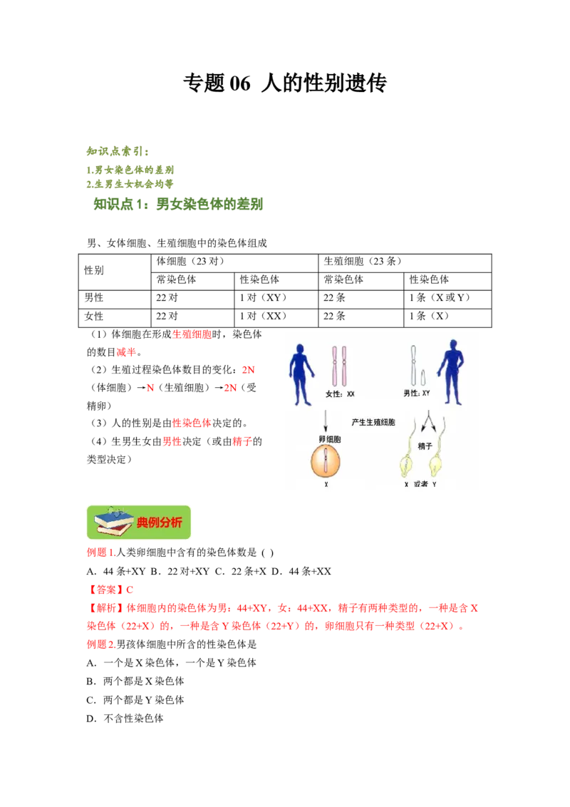 专题06人的性别遗传（解析版）-2021-2022学年八年级上学期期末复习之重难点突破（人教版）_初中全科电子版试卷练习试题_生物_生物8上练习_人教生物8年级上专项练习23份