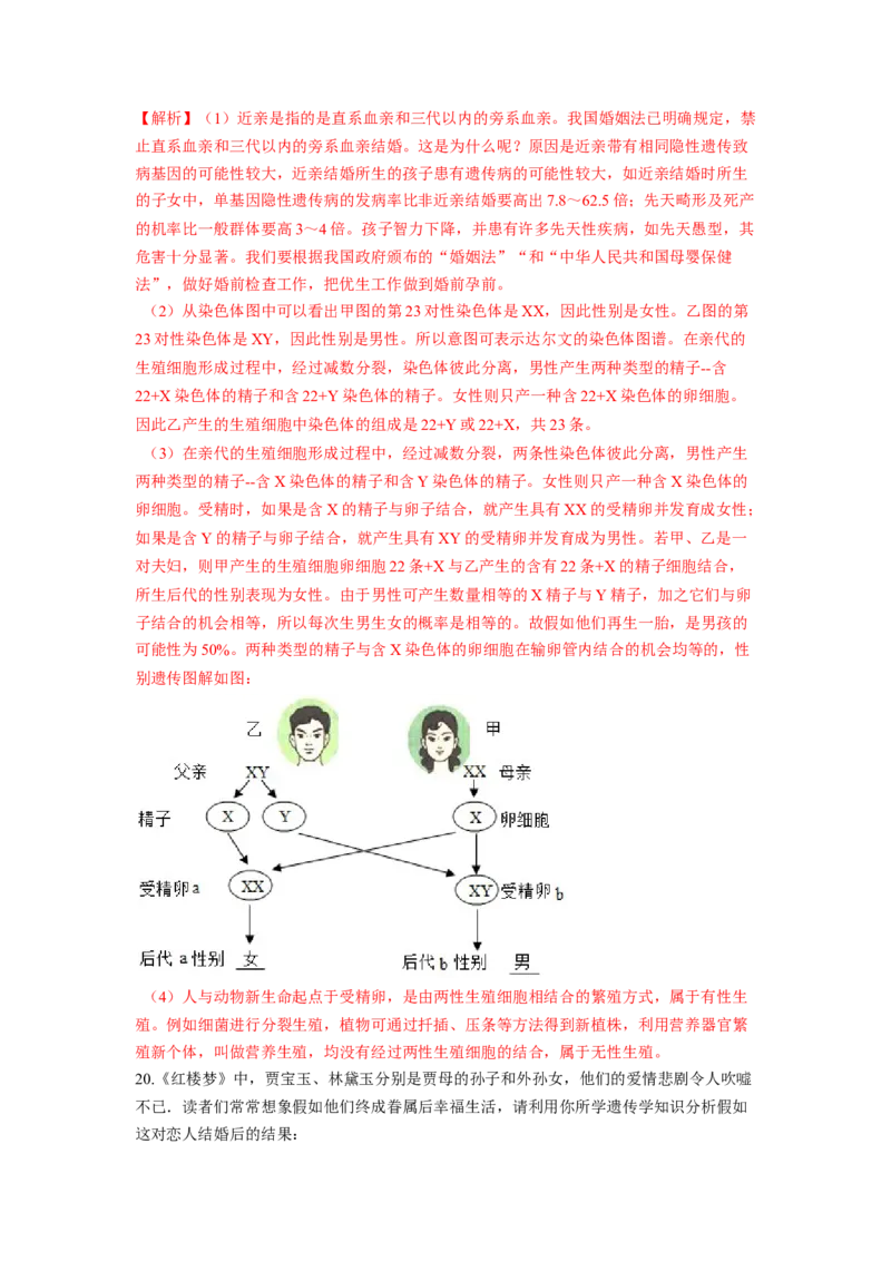 专题06人的性别遗传（解析版）-2021-2022学年八年级上学期期末复习之重难点突破（人教版）_初中全科电子版试卷练习试题_生物_生物8上练习_人教生物8年级上专项练习23份
