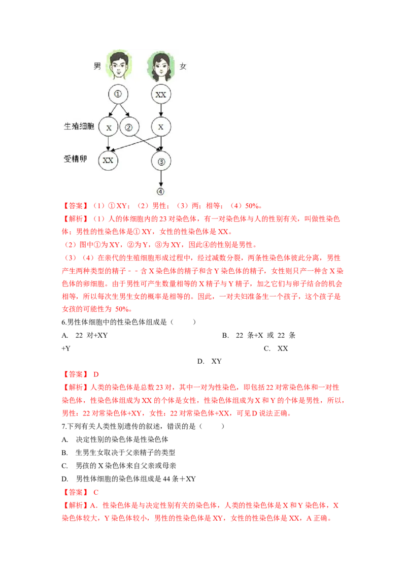专题06人的性别遗传（解析版）-2021-2022学年八年级上学期期末复习之重难点突破（人教版）_初中全科电子版试卷练习试题_生物_生物8上练习_人教生物8年级上专项练习23份