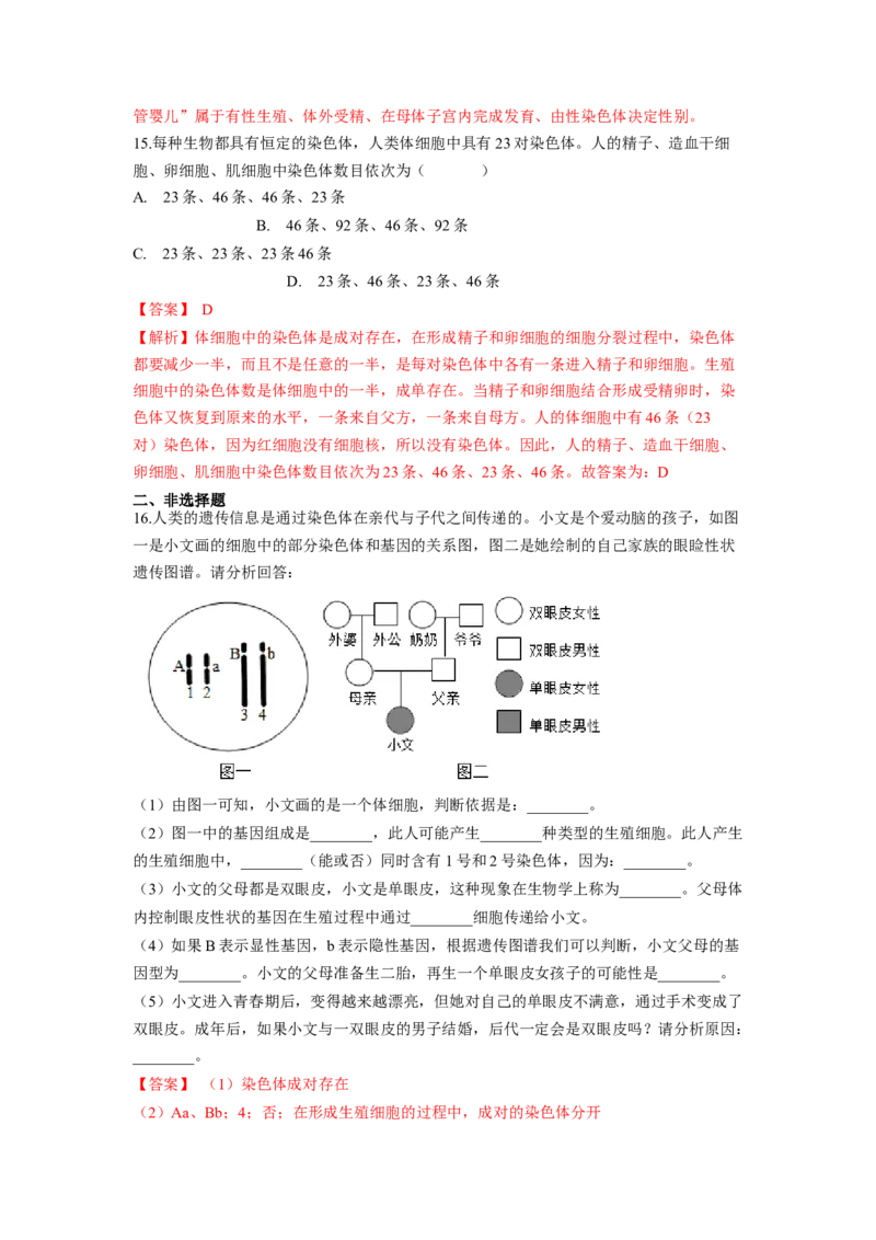 专题06人的性别遗传（解析版）-2021-2022学年八年级上学期期末复习之重难点突破（人教版）_初中全科电子版试卷练习试题_生物_生物8上练习_人教生物8年级上专项练习23份