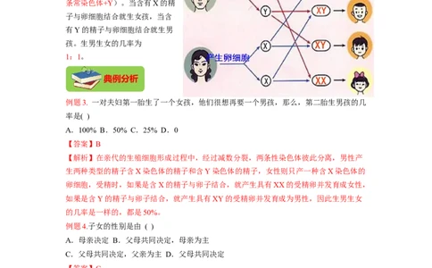 专题06人的性别遗传（解析版）-2021-2022学年八年级上学期期末复习之重难点突破（人教版）_初中全科电子版试卷练习试题_生物_生物8上练习_人教生物8年级上专项练习23份