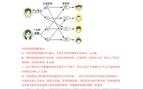 专题06人的性别遗传（解析版）-2021-2022学年八年级上学期期末复习之重难点突破（人教版）_初中全科电子版试卷练习试题_生物_生物8上练习_人教生物8年级上专项练习23份