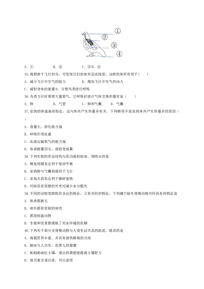 专练02（选择题48题）-八年级生物上册期中考点必杀题（人教版）（原卷版）_初中全科电子版试卷练习试题_生物_生物8上练习_人教生物8年级上专项练习23份