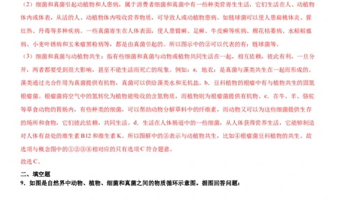 5.4.4细菌和真菌在自然界中的作用（练习）（解析版）_初中全科电子版试卷练习试题_生物_生物8上练习_人教生物8年级上课时练习37份