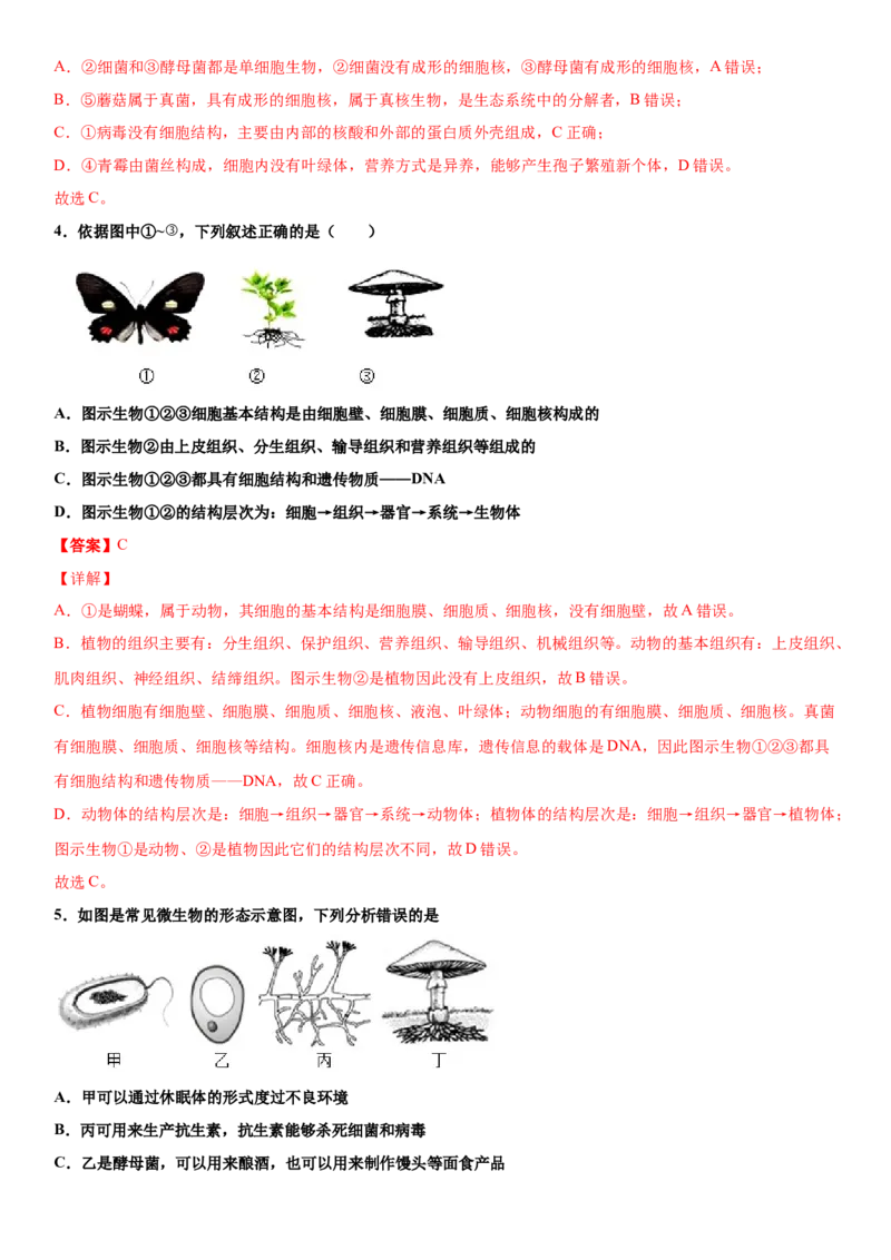 5.4.3真菌（练习）（解析版）_初中全科电子版试卷练习试题_生物_生物8上练习_人教生物8年级上课时练习37份_第1套八年级生物上册课时练习（人教版）16份