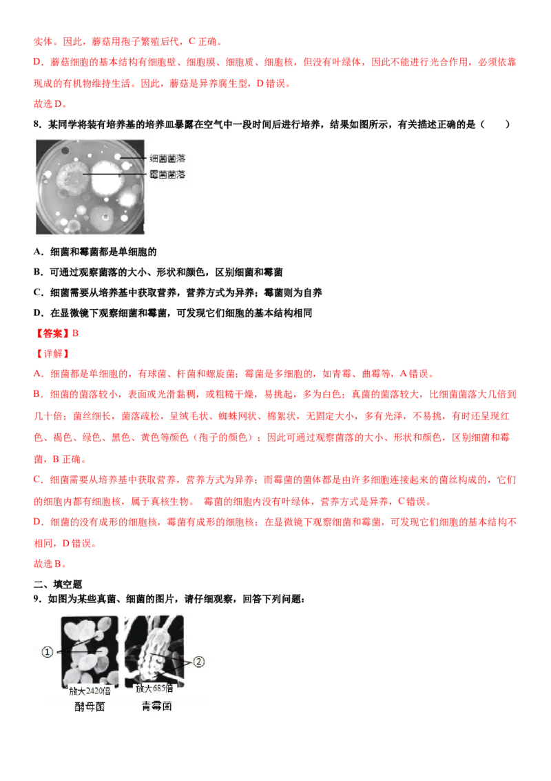 5.4.3真菌（练习）（解析版）_初中全科电子版试卷练习试题_生物_生物8上练习_人教生物8年级上课时练习37份_第1套八年级生物上册课时练习（人教版）16份