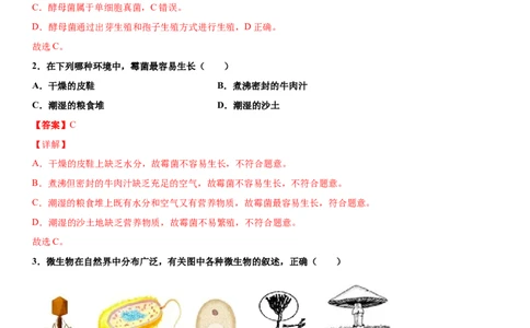 5.4.3真菌（练习）（解析版）_初中全科电子版试卷练习试题_生物_生物8上练习_人教生物8年级上课时练习37份_第1套八年级生物上册课时练习（人教版）16份