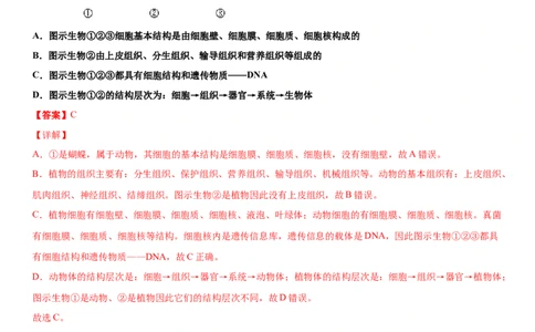 5.4.3真菌（练习）（解析版）_初中全科电子版试卷练习试题_生物_生物8上练习_人教生物8年级上课时练习37份_第1套八年级生物上册课时练习（人教版）16份