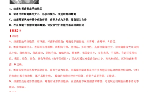 5.4.3真菌（练习）（解析版）_初中全科电子版试卷练习试题_生物_生物8上练习_人教生物8年级上课时练习37份_第1套八年级生物上册课时练习（人教版）16份