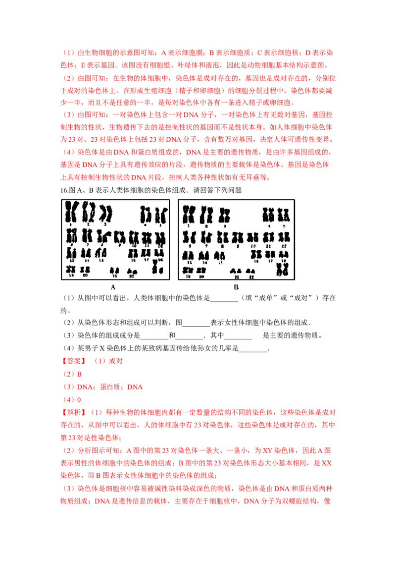 专题04基因控制生物的形状及基因在亲子代间的传递（解析版）-2021-2022学年八年级上学期期末复习之重难点突破（人教版）_初中全科电子版试卷练习试题_生物_生物8上练习