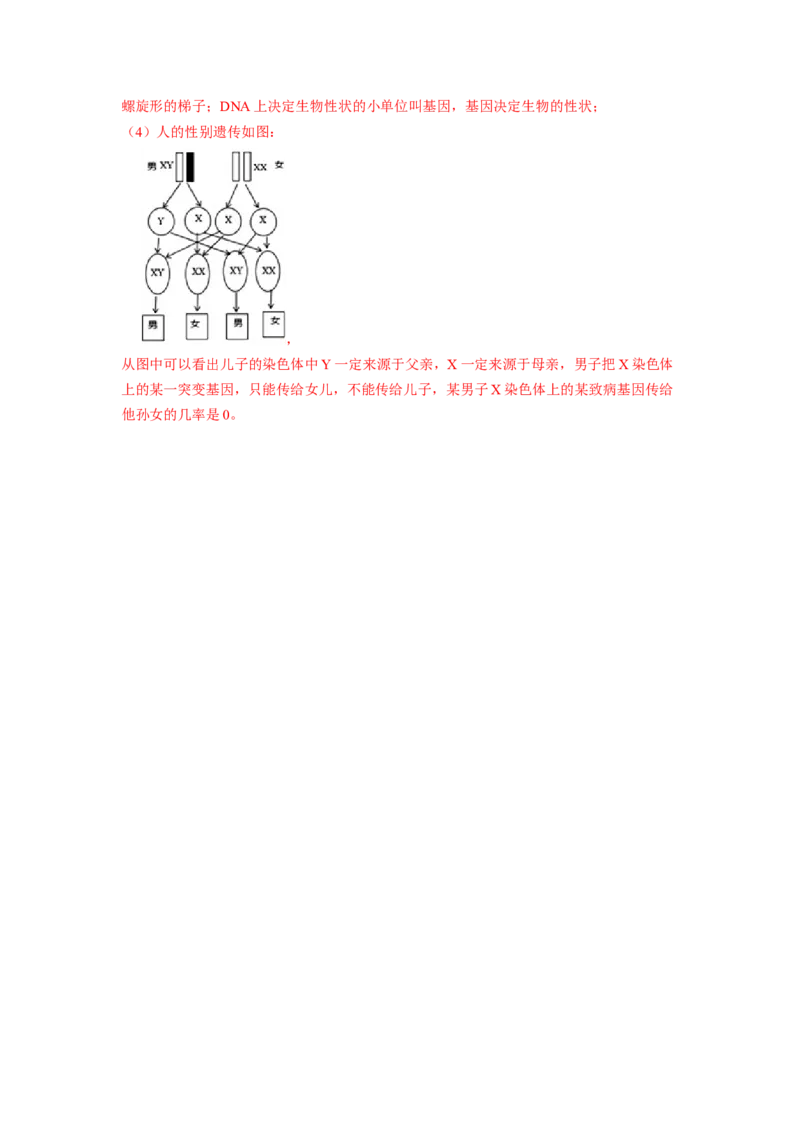 专题04基因控制生物的形状及基因在亲子代间的传递（解析版）-2021-2022学年八年级上学期期末复习之重难点突破（人教版）_初中全科电子版试卷练习试题_生物_生物8上练习