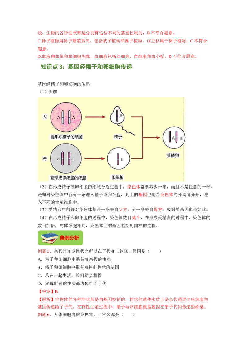 专题04基因控制生物的形状及基因在亲子代间的传递（解析版）-2021-2022学年八年级上学期期末复习之重难点突破（人教版）_初中全科电子版试卷练习试题_生物_生物8上练习