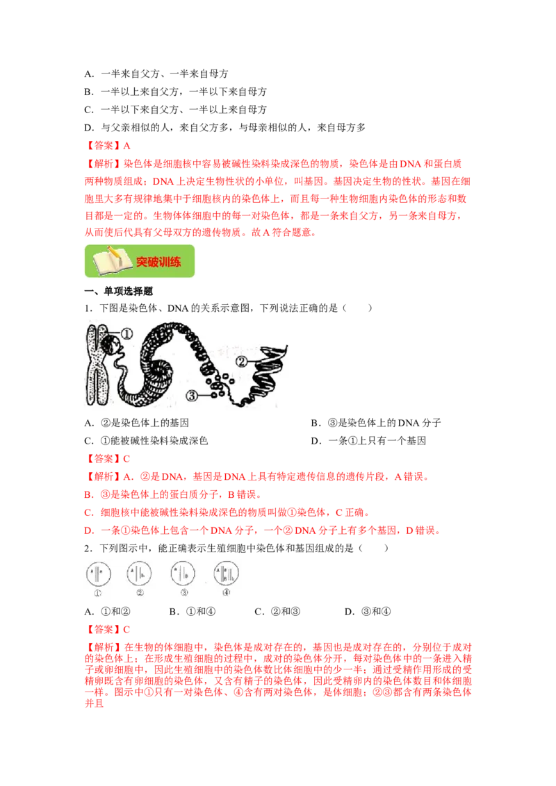 专题04基因控制生物的形状及基因在亲子代间的传递（解析版）-2021-2022学年八年级上学期期末复习之重难点突破（人教版）_初中全科电子版试卷练习试题_生物_生物8上练习