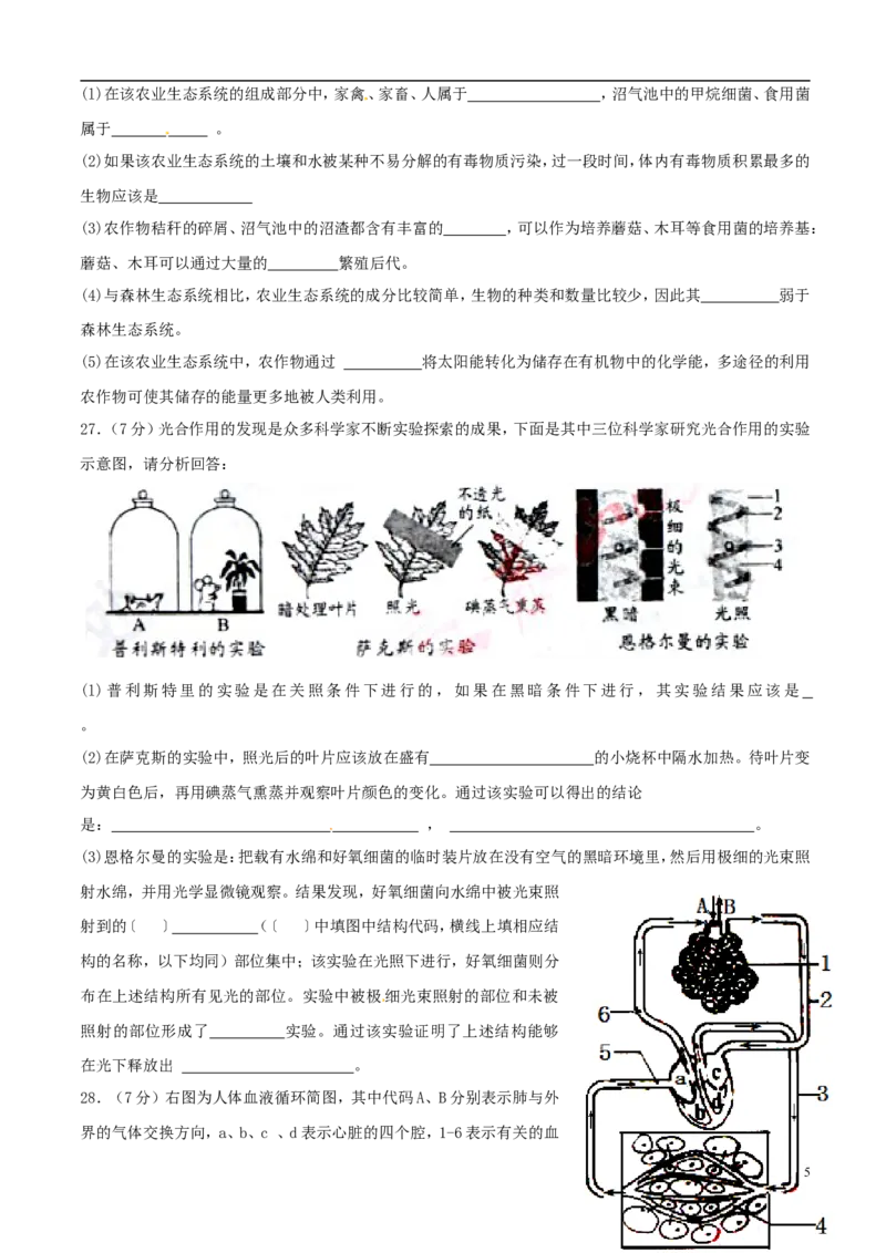 山东省泰安市2015年中考生物真题试题（含扫描答案）(1)_山东历年中考真题_山东省历年中考真题2013~2024_初中生物历年真题（2013-2024）