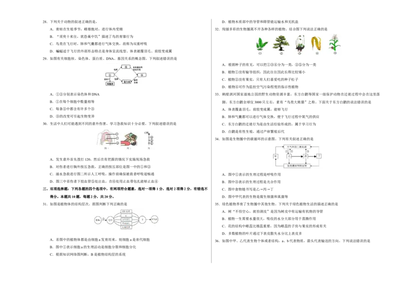 2024年中考押题预测卷（南京卷）-生物（考试版）A3_初中全科电子版试卷练习试题_生物_2024中考模拟题生物(1)_押题预测