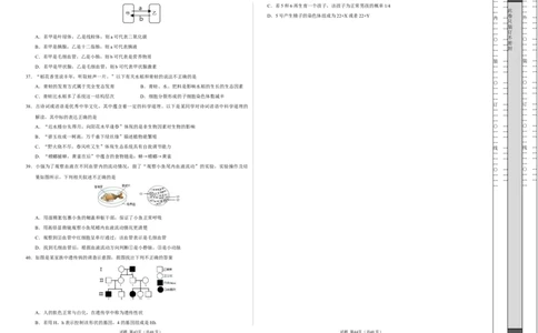 2024年中考押题预测卷（南京卷）-生物（考试版）A3_初中全科电子版试卷练习试题_生物_2024中考模拟题生物(1)_押题预测