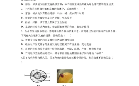 专题03鸟的生殖和发育（原卷版）-2021-2022学年八年级上学期期末复习之重难点突破（人教版）_初中全科电子版试卷练习试题_生物_生物8上练习_人教生物8年级上专项练习23份