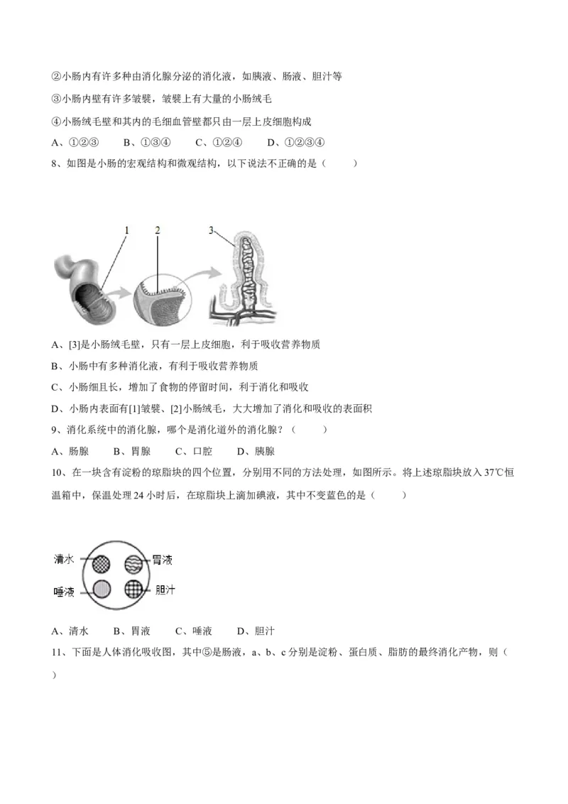 4.2.2消化和吸收（原卷版）_初中全科电子版试卷练习试题_生物_生物人教版7下练习_人教生物7年级下课时练习40份_第2套七年级生物下册课时练习（人教版）20份