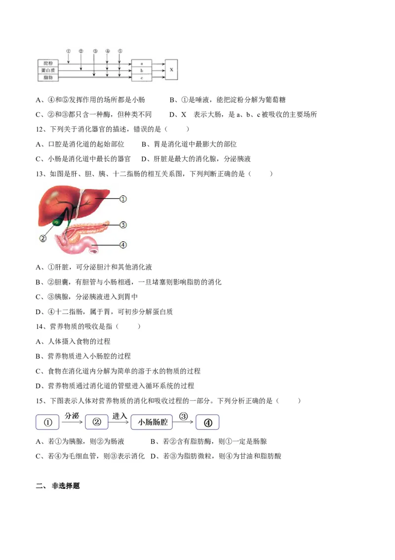 4.2.2消化和吸收（原卷版）_初中全科电子版试卷练习试题_生物_生物人教版7下练习_人教生物7年级下课时练习40份_第2套七年级生物下册课时练习（人教版）20份