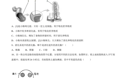 4.2.2消化和吸收（原卷版）_初中全科电子版试卷练习试题_生物_生物人教版7下练习_人教生物7年级下课时练习40份_第2套七年级生物下册课时练习（人教版）20份