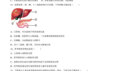 4.2.2消化和吸收（原卷版）_初中全科电子版试卷练习试题_生物_生物人教版7下练习_人教生物7年级下课时练习40份_第2套七年级生物下册课时练习（人教版）20份