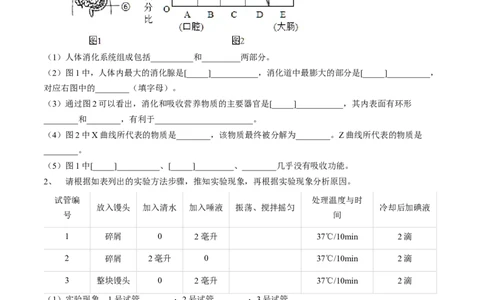 4.2.2消化和吸收（原卷版）_初中全科电子版试卷练习试题_生物_生物人教版7下练习_人教生物7年级下课时练习40份_第2套七年级生物下册课时练习（人教版）20份