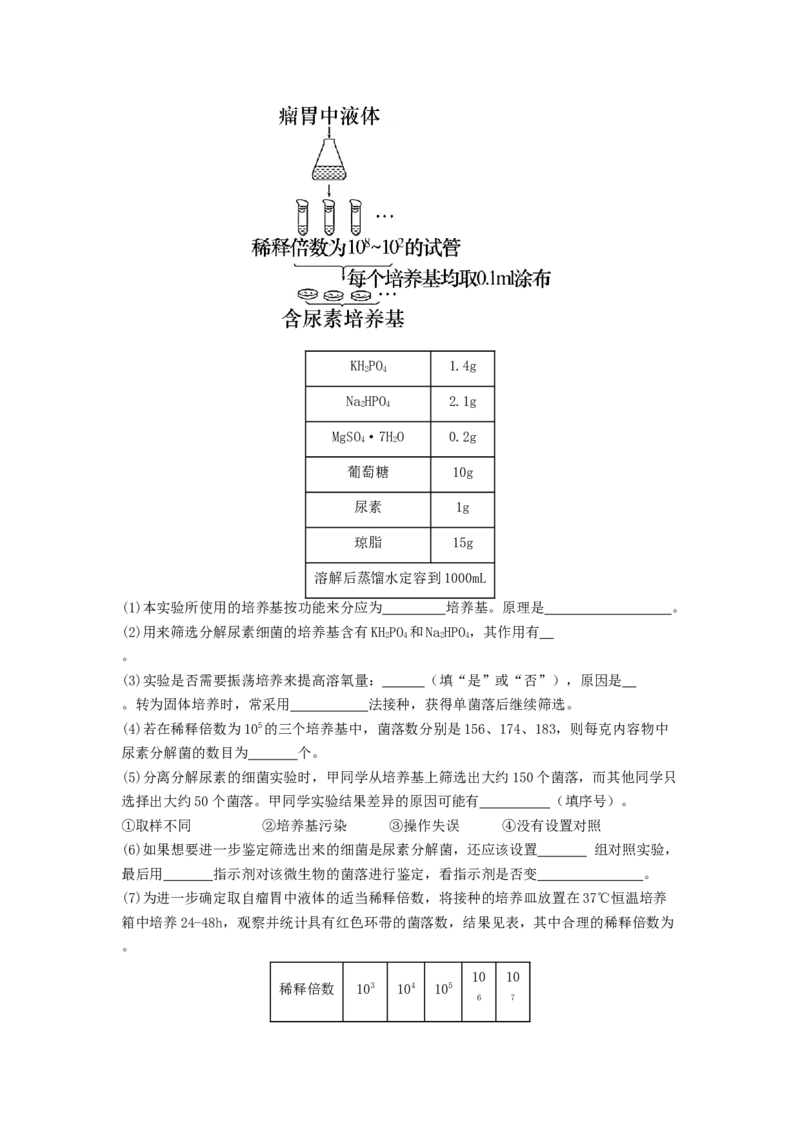 专题22微生物的培养技术及应用（原卷版）_通用版（老高考）复习资料_2024年复习资料_完备战2024年高考生物一轮复习抢分特训（全国通用）