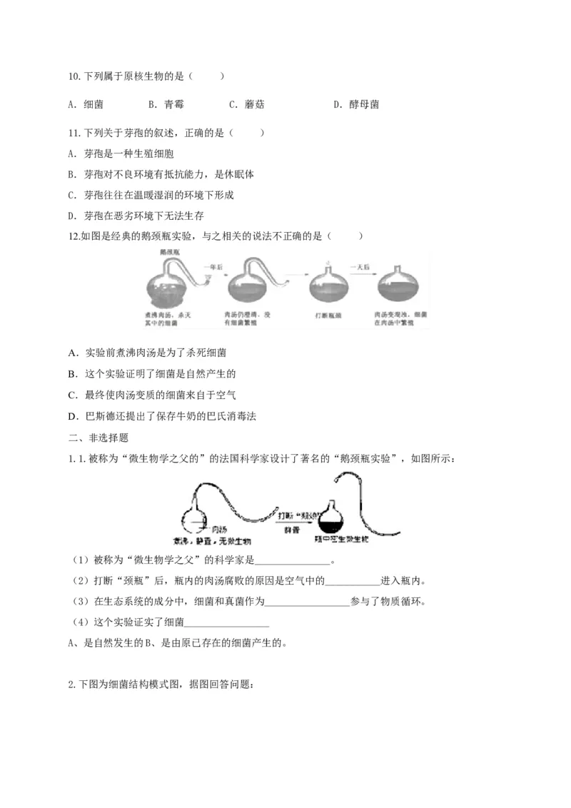 5.4.2细菌（备作业）-（人教版）（原卷版）_初中全科电子版试卷练习试题_生物_生物8上练习_人教生物8年级上课时练习37份_第2套八年级生物上册课时练习（人教版）21份