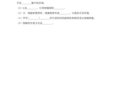 5.4.2细菌（备作业）-（人教版）（原卷版）_初中全科电子版试卷练习试题_生物_生物8上练习_人教生物8年级上课时练习37份_第2套八年级生物上册课时练习（人教版）21份