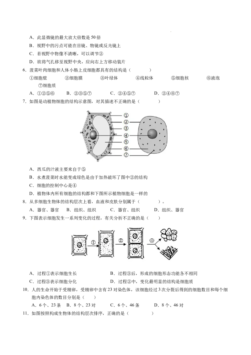 七年级生物期末模拟卷（考试版）测试范围：人教版2024七上全册（）_初中全科电子版试卷练习试题_生物_生物人教版7上练习&mdash;24新版已更新_人教生物7年级上期末试卷11份