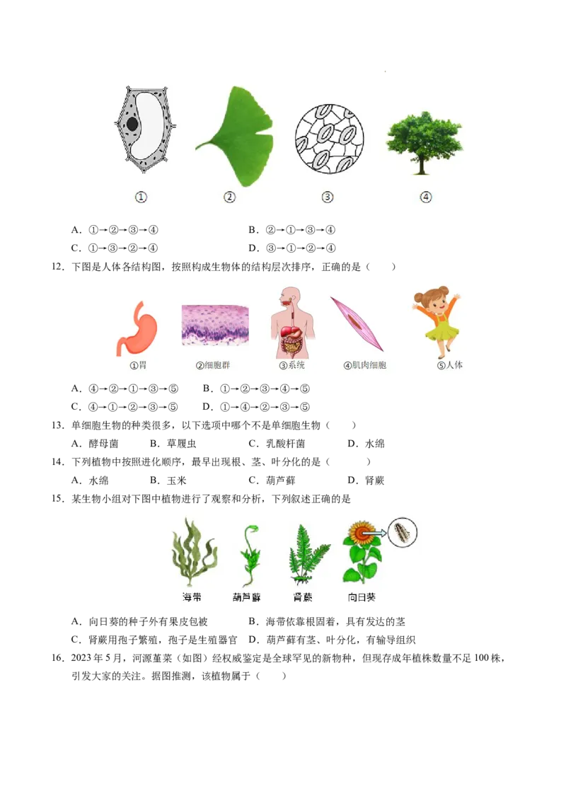 七年级生物期末模拟卷（考试版）测试范围：人教版2024七上全册（）_初中全科电子版试卷练习试题_生物_生物人教版7上练习&mdash;24新版已更新_人教生物7年级上期末试卷11份