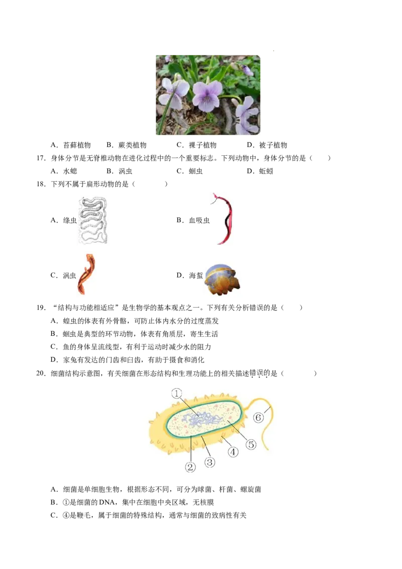 七年级生物期末模拟卷（考试版）测试范围：人教版2024七上全册（）_初中全科电子版试卷练习试题_生物_生物人教版7上练习&mdash;24新版已更新_人教生物7年级上期末试卷11份