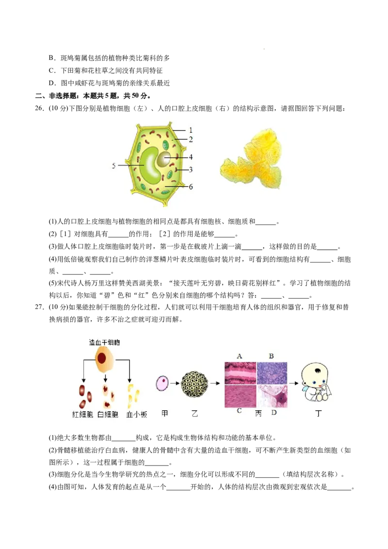 七年级生物期末模拟卷（考试版）测试范围：人教版2024七上全册（）_初中全科电子版试卷练习试题_生物_生物人教版7上练习&mdash;24新版已更新_人教生物7年级上期末试卷11份