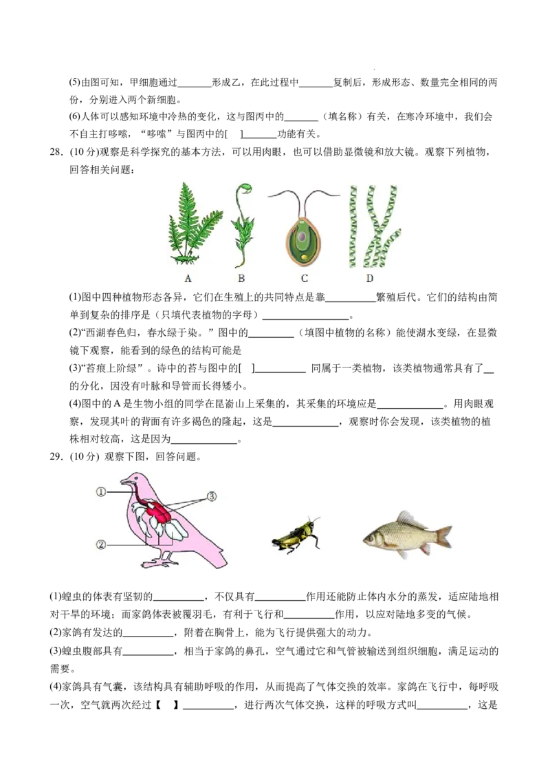 七年级生物期末模拟卷（考试版）测试范围：人教版2024七上全册（）_初中全科电子版试卷练习试题_生物_生物人教版7上练习&mdash;24新版已更新_人教生物7年级上期末试卷11份