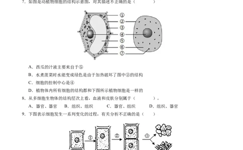 七年级生物期末模拟卷（考试版）测试范围：人教版2024七上全册（）_初中全科电子版试卷练习试题_生物_生物人教版7上练习&mdash;24新版已更新_人教生物7年级上期末试卷11份
