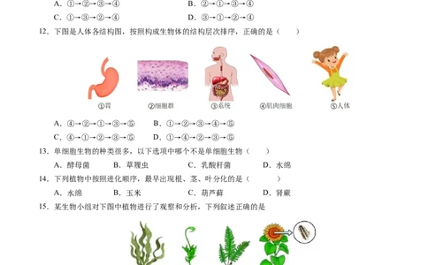 七年级生物期末模拟卷（考试版）测试范围：人教版2024七上全册（）_初中全科电子版试卷练习试题_生物_生物人教版7上练习&mdash;24新版已更新_人教生物7年级上期末试卷11份