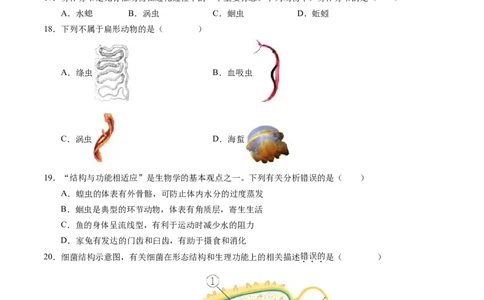 七年级生物期末模拟卷（考试版）测试范围：人教版2024七上全册（）_初中全科电子版试卷练习试题_生物_生物人教版7上练习&mdash;24新版已更新_人教生物7年级上期末试卷11份