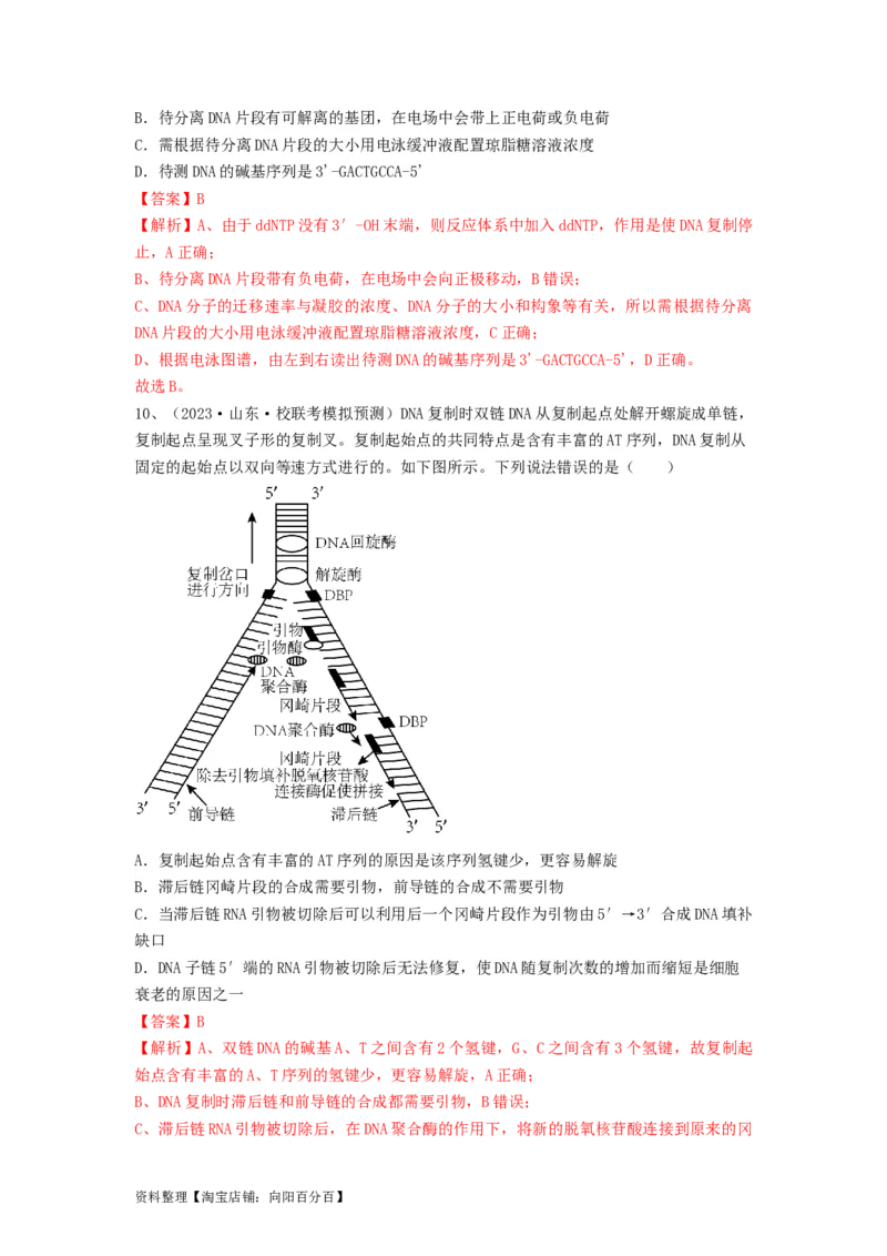 专题18DNA分子的结构、复制及基因的本质（精练）（解析版）_新高考复习资料_2024年新高考复习资料_一轮复习资料_完备战2024年高考生物一轮复习串讲精练（新高考专用）_精练_解析版