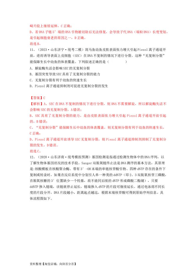专题18DNA分子的结构、复制及基因的本质（精练）（解析版）_新高考复习资料_2024年新高考复习资料_一轮复习资料_完备战2024年高考生物一轮复习串讲精练（新高考专用）_精练_解析版